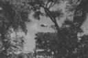 ufo-718.jpg