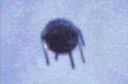 ufo-007.jpg