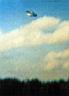 ufo-095.jpg