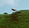 ufo-111.jpg