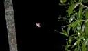 ufo-151.jpg