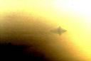 ufo-198.jpg