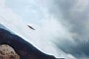 ufo-206.jpg