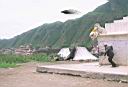 ufo-506.jpg