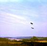 ufo-607.jpg