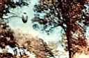 ufo-711.jpg