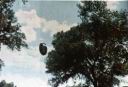 ufo-712.jpg