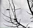 ufo-717.jpg