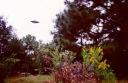 ufo-728.jpg
