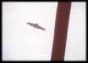 ufo-731.jpg