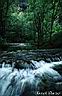 016cascade.jpg