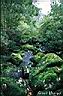 022cascades.jpg