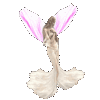 mondi 3d virtuale fate cosmico spirituale club interneland portali avatar