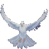 mondi 3d virtuale fate cosmico spirituale club interneland portali avatar